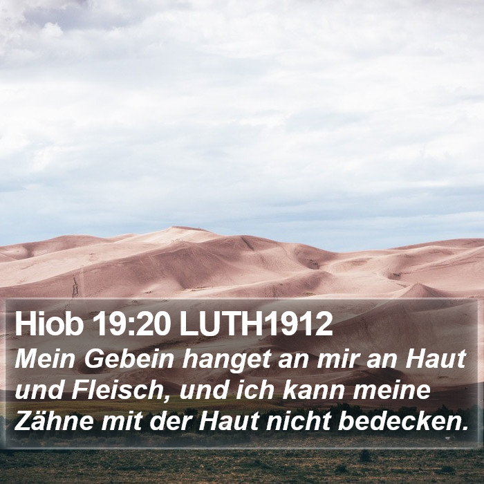 Hiob 19:20 LUTH1912 Bible Study