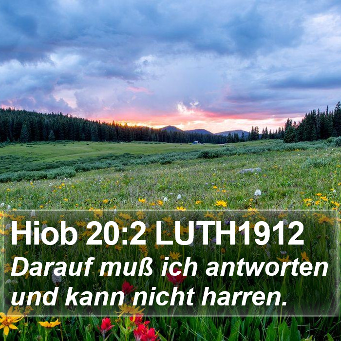 Hiob 20:2 LUTH1912 Bible Study