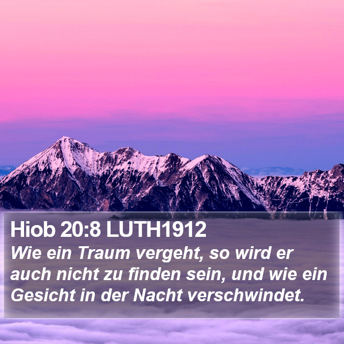Hiob 20:8 LUTH1912 Bible Study