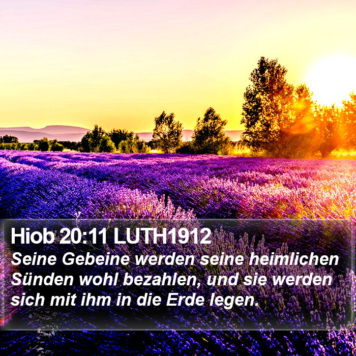 Hiob 20:11 LUTH1912 Bible Study