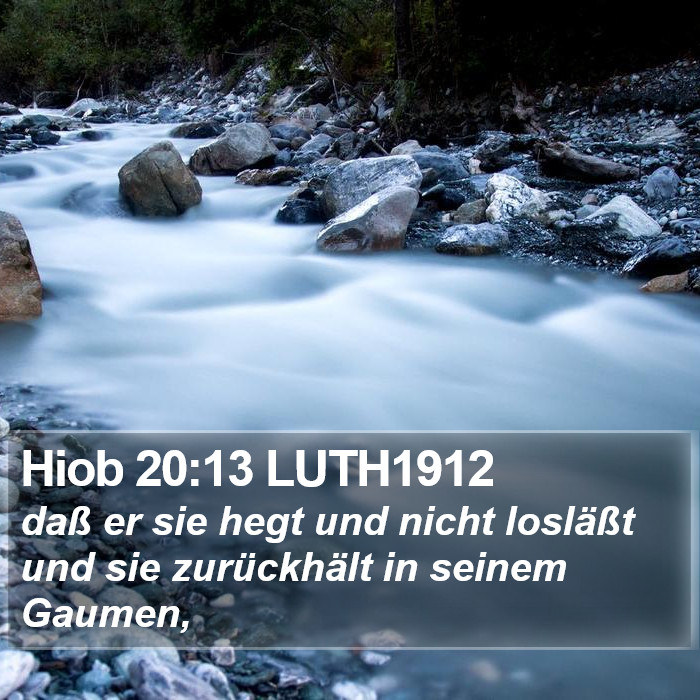 Hiob 20:13 LUTH1912 Bible Study