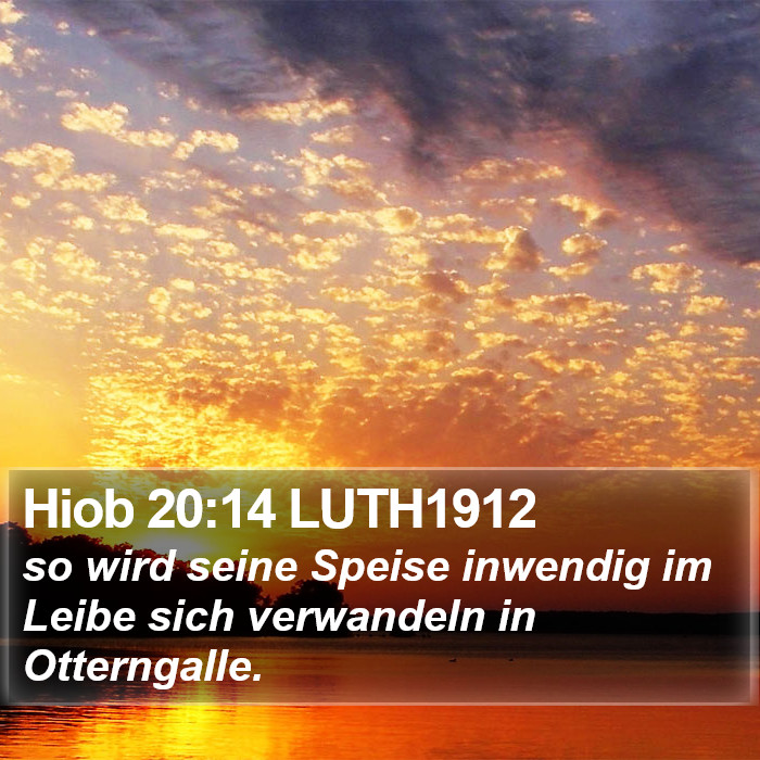 Hiob 20:14 LUTH1912 Bible Study