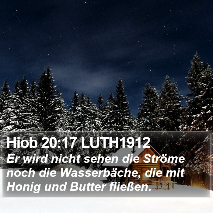 Hiob 20:17 LUTH1912 Bible Study
