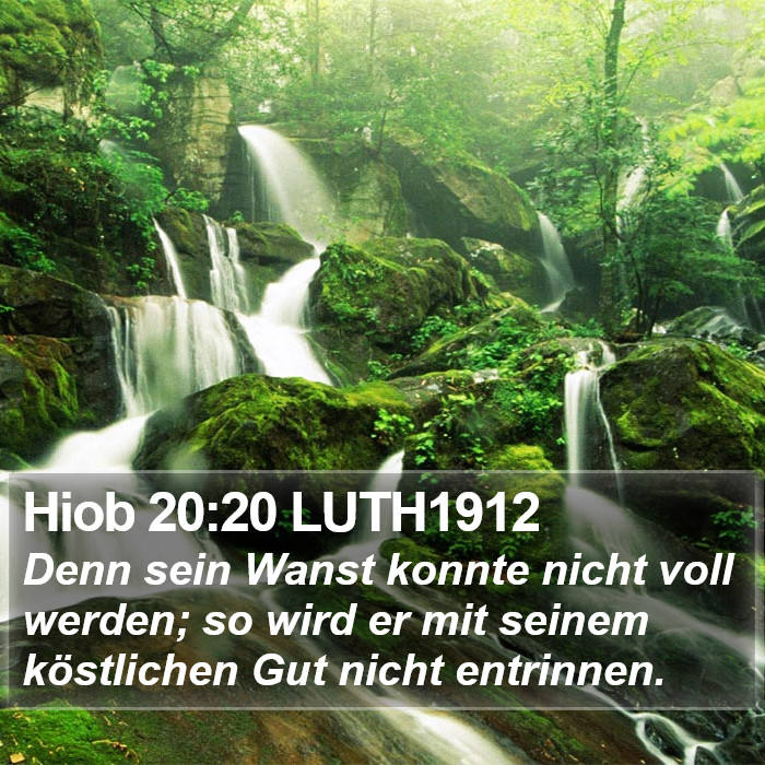 Hiob 20:20 LUTH1912 Bible Study