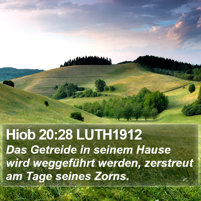 Hiob 20:28 LUTH1912 Bible Study