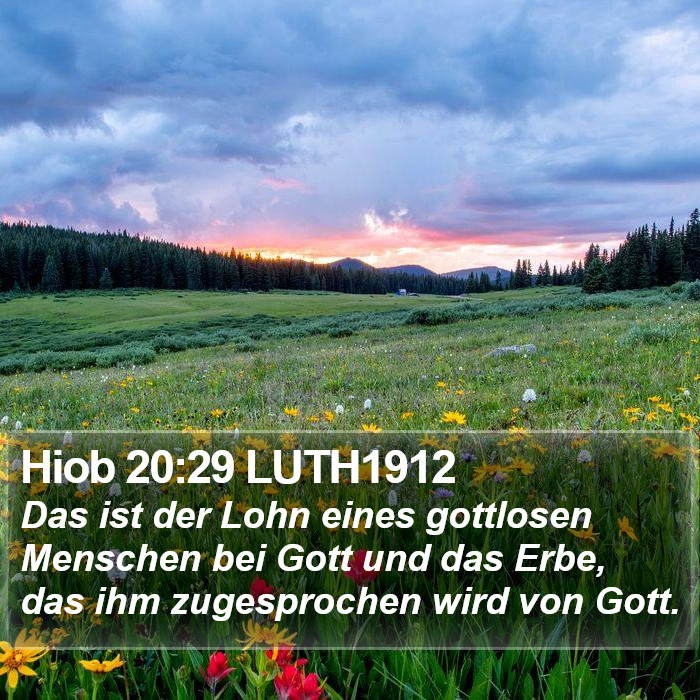 Hiob 20:29 LUTH1912 Bible Study