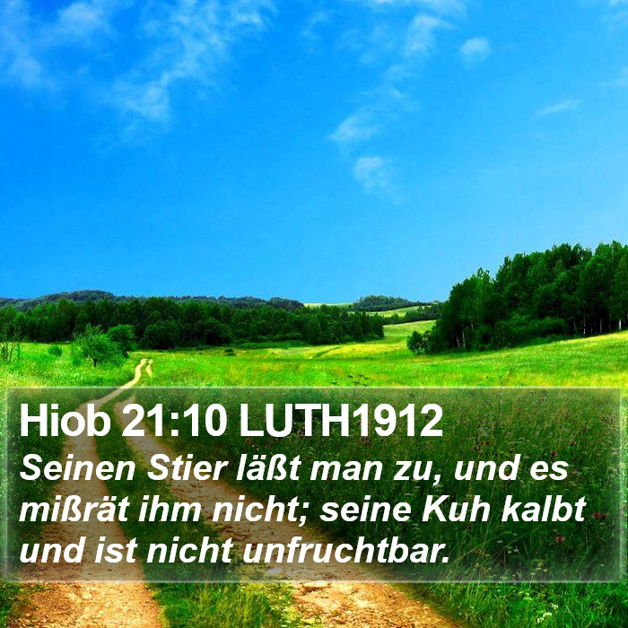 Hiob 21:10 LUTH1912 Bible Study