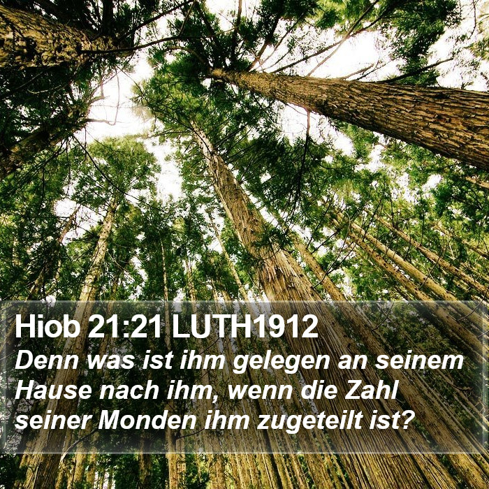 Hiob 21:21 LUTH1912 Bible Study