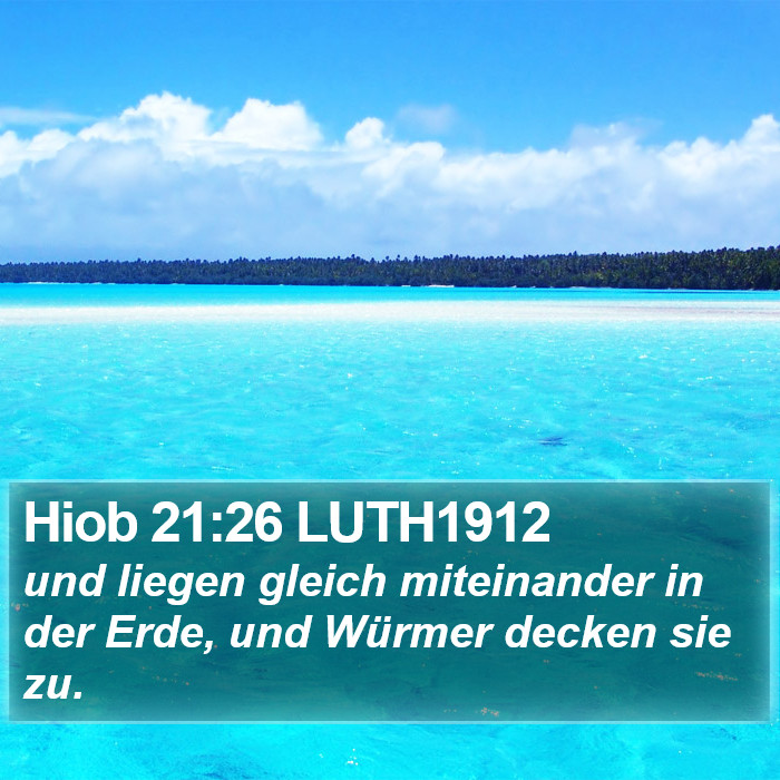 Hiob 21:26 LUTH1912 Bible Study