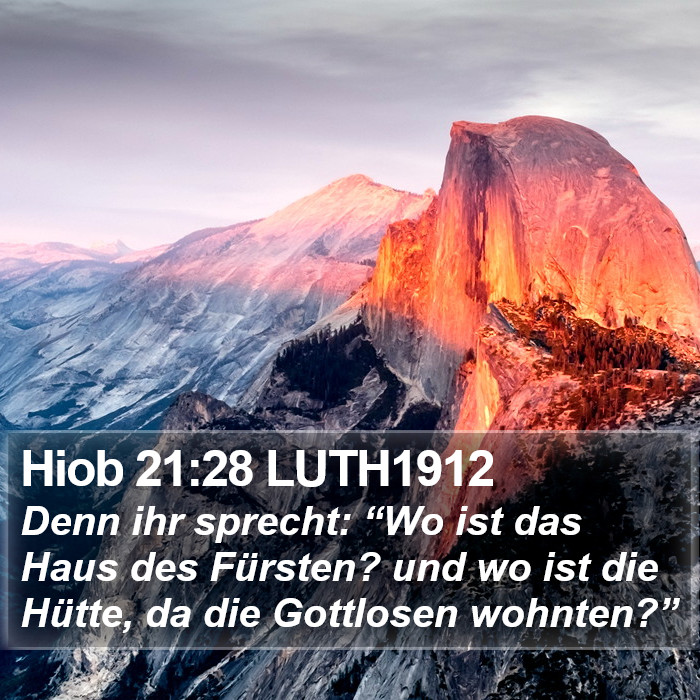 Hiob 21:28 LUTH1912 Bible Study