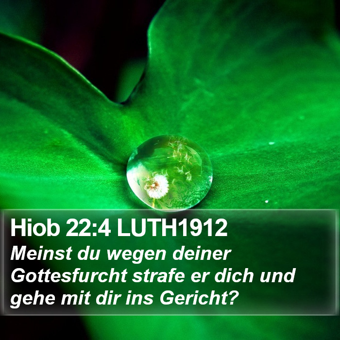 Hiob 22:4 LUTH1912 Bible Study
