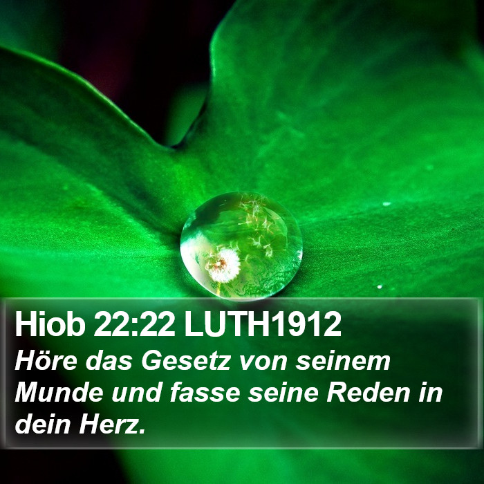 Hiob 22:22 LUTH1912 Bible Study