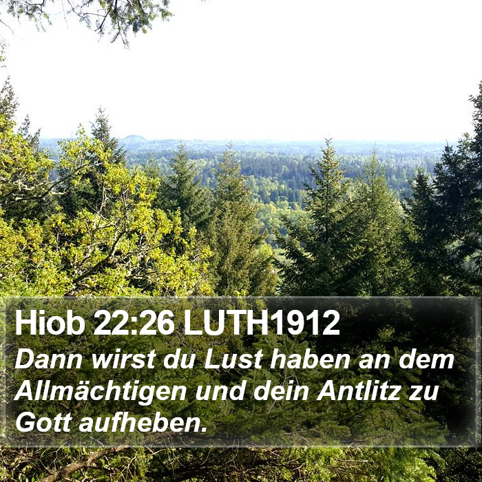 Hiob 22:26 LUTH1912 Bible Study
