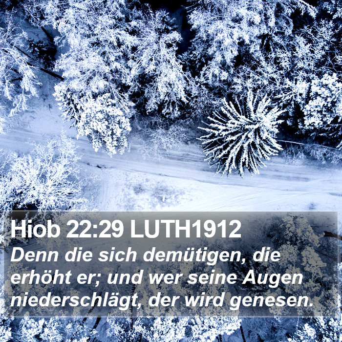 Hiob 22:29 LUTH1912 Bible Study