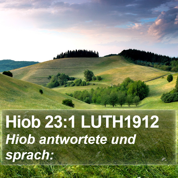 Hiob 23:1 LUTH1912 Bible Study