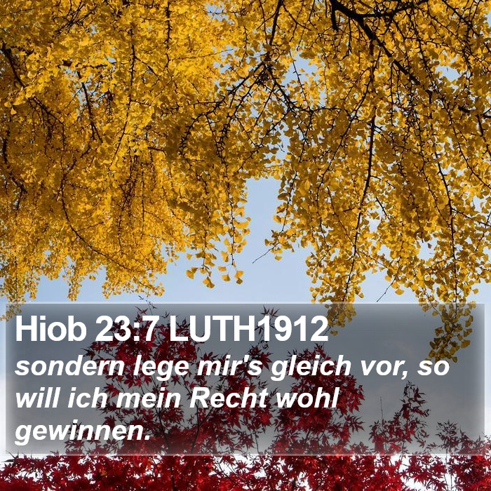 Hiob 23:7 LUTH1912 Bible Study