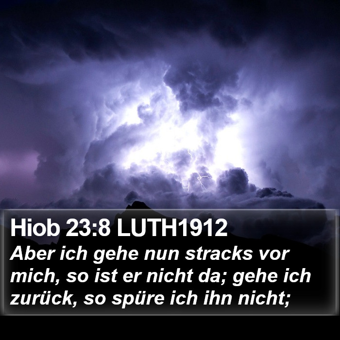 Hiob 23:8 LUTH1912 Bible Study