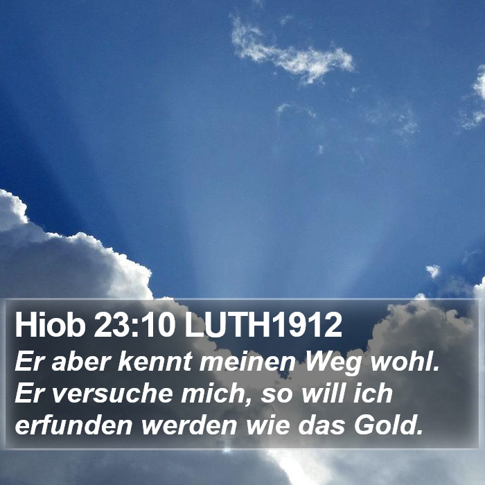 Hiob 23:10 LUTH1912 Bible Study