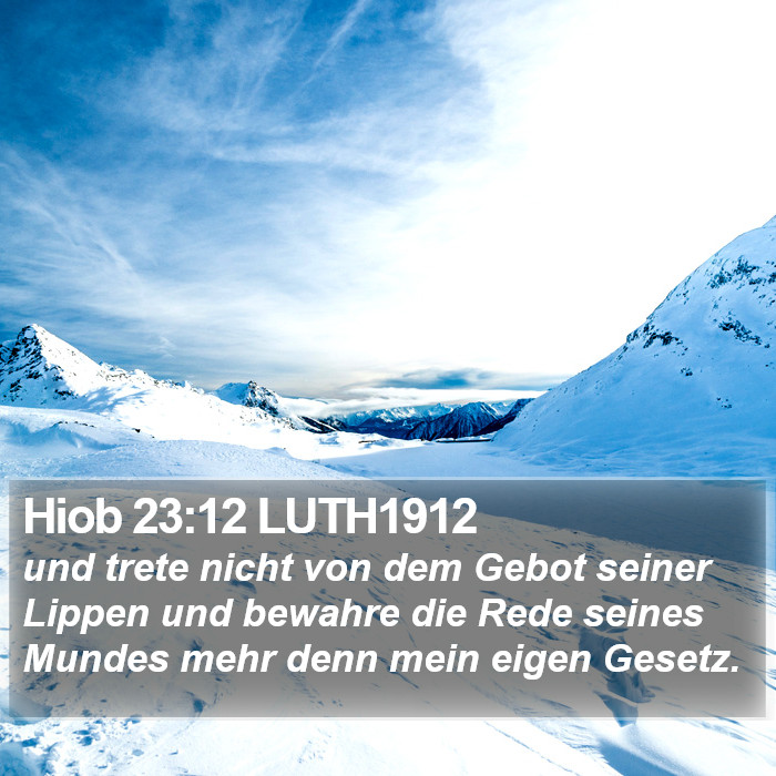 Hiob 23:12 LUTH1912 Bible Study