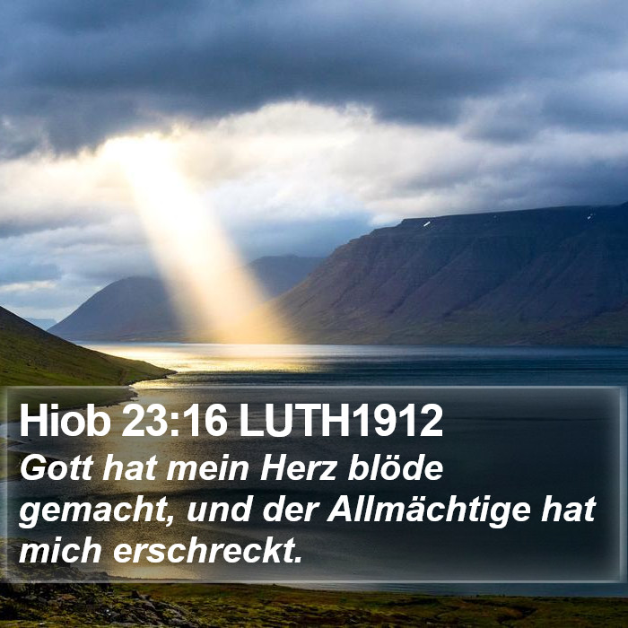 Hiob 23:16 LUTH1912 Bible Study