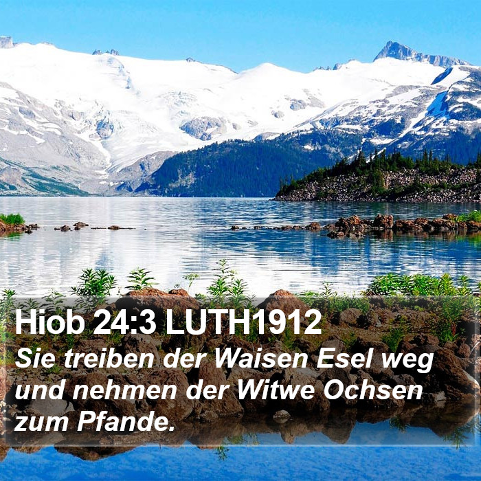 Hiob 24:3 LUTH1912 Bible Study