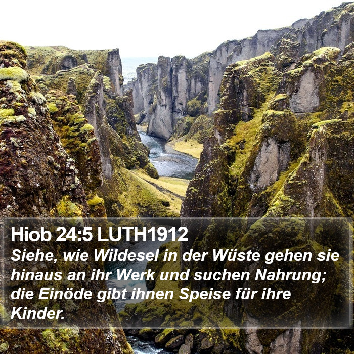 Hiob 24:5 LUTH1912 Bible Study