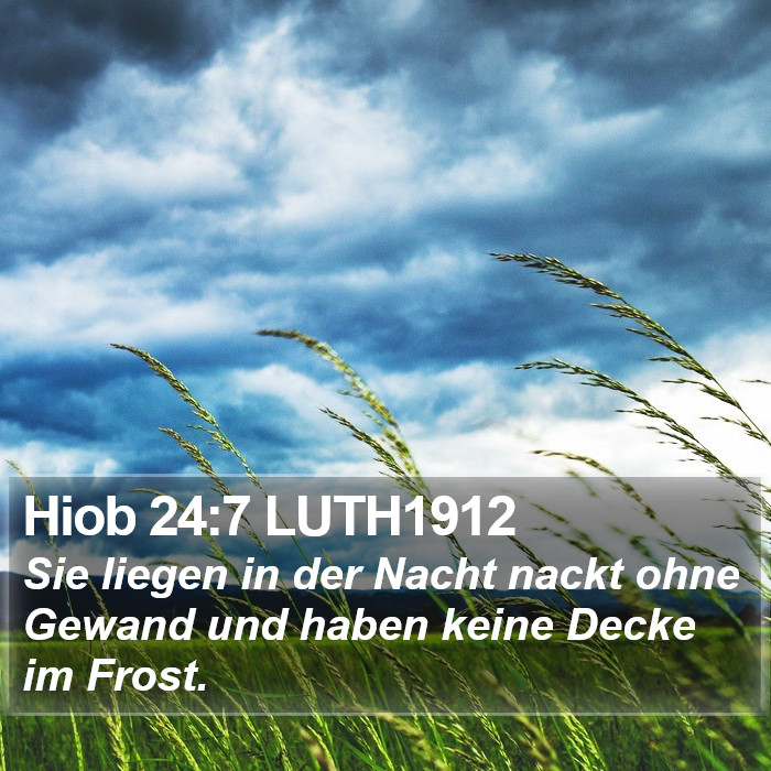 Hiob 24:7 LUTH1912 Bible Study
