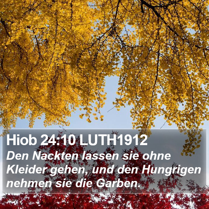 Hiob 24:10 LUTH1912 Bible Study