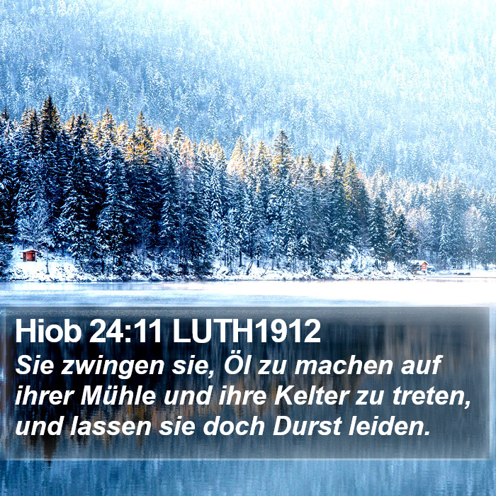 Hiob 24:11 LUTH1912 Bible Study