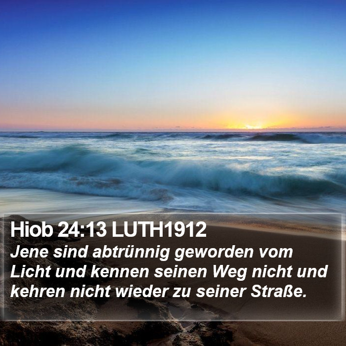 Hiob 24:13 LUTH1912 Bible Study