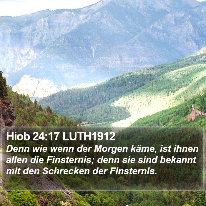 Hiob 24:17 LUTH1912 Bible Study