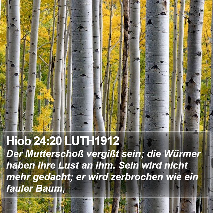 Hiob 24:20 LUTH1912 Bible Study