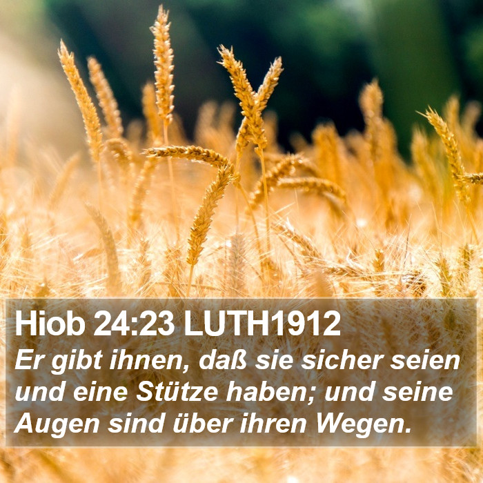 Hiob 24:23 LUTH1912 Bible Study