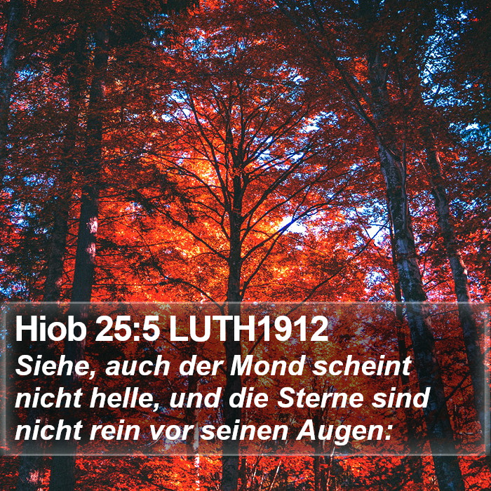 Hiob 25:5 LUTH1912 Bible Study