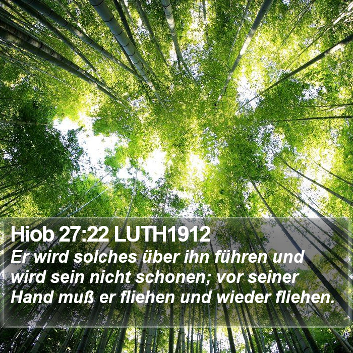 Hiob 27:22 LUTH1912 Bible Study