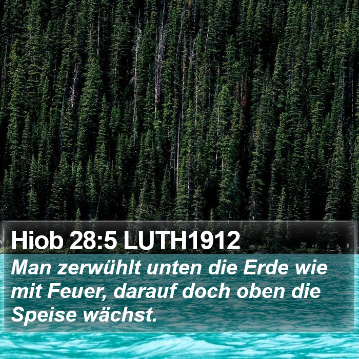 Hiob 28:5 LUTH1912 Bible Study