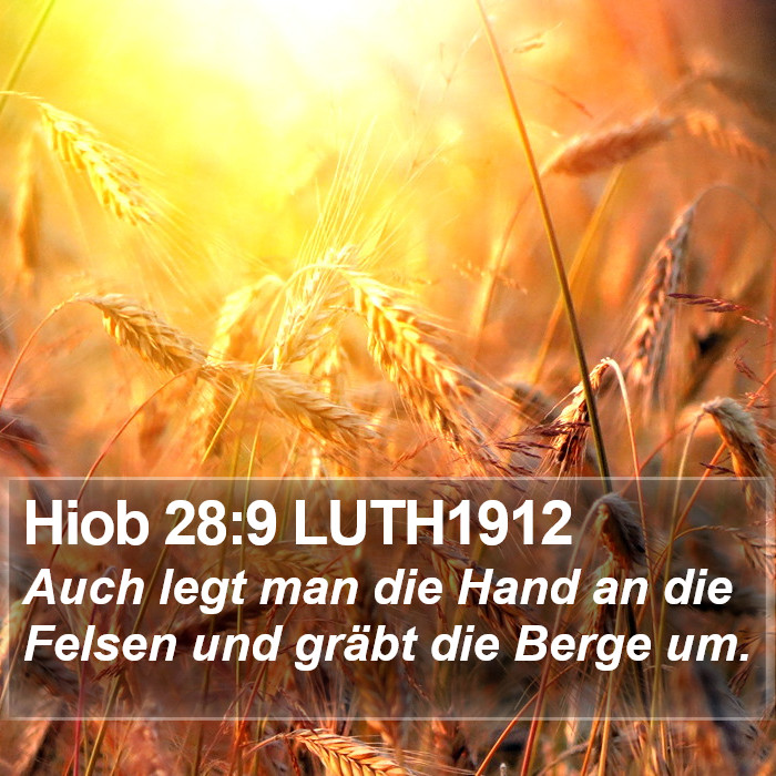 Hiob 28:9 LUTH1912 Bible Study