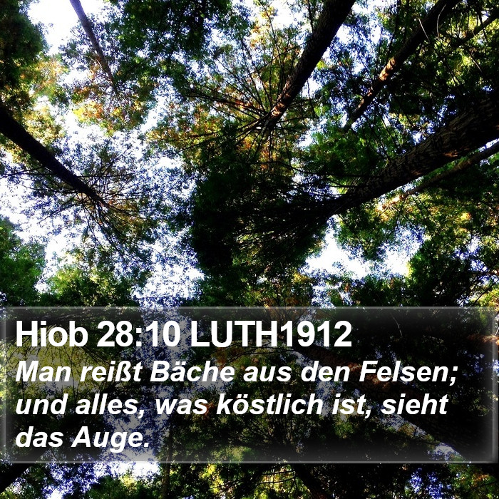 Hiob 28:10 LUTH1912 Bible Study