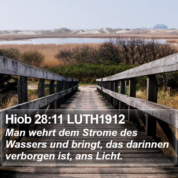 Hiob 28:11 LUTH1912 Bible Study