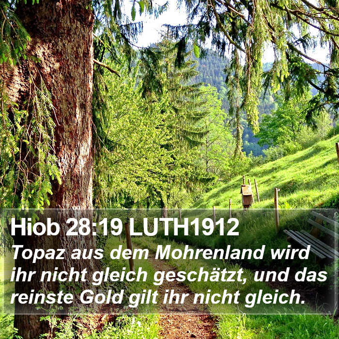 Hiob 28:19 LUTH1912 Bible Study