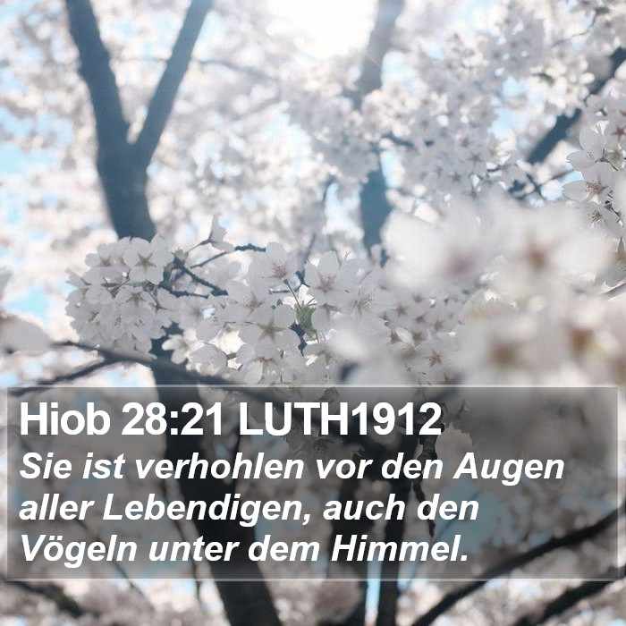 Hiob 28:21 LUTH1912 Bible Study