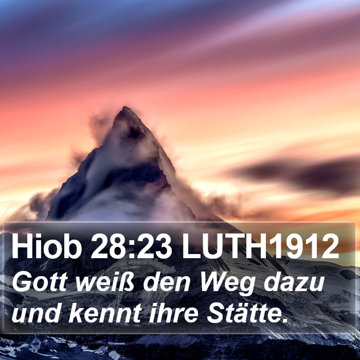 Hiob 28:23 LUTH1912 Bible Study