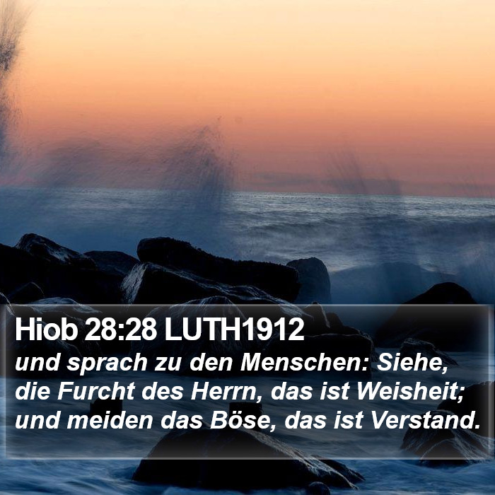 Hiob 28:28 LUTH1912 Bible Study