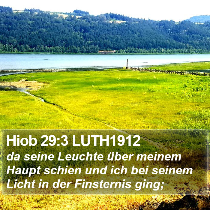 Hiob 29:3 LUTH1912 Bible Study