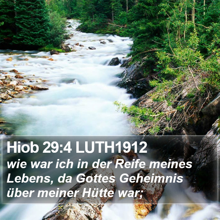 Hiob 29:4 LUTH1912 Bible Study