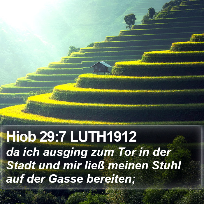 Hiob 29:7 LUTH1912 Bible Study