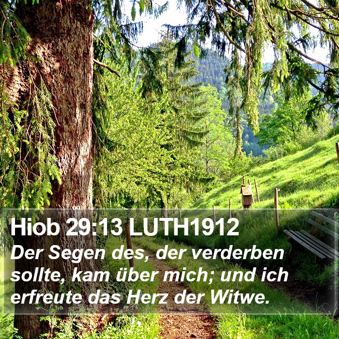 Hiob 29:13 LUTH1912 Bible Study