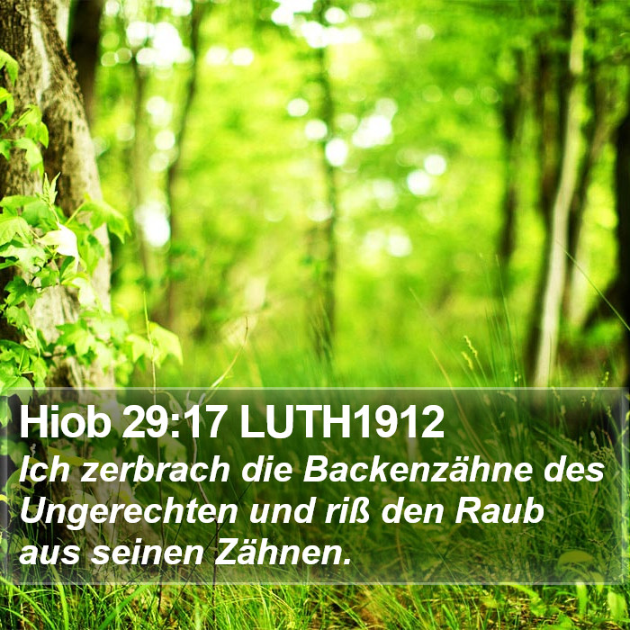 Hiob 29:17 LUTH1912 Bible Study