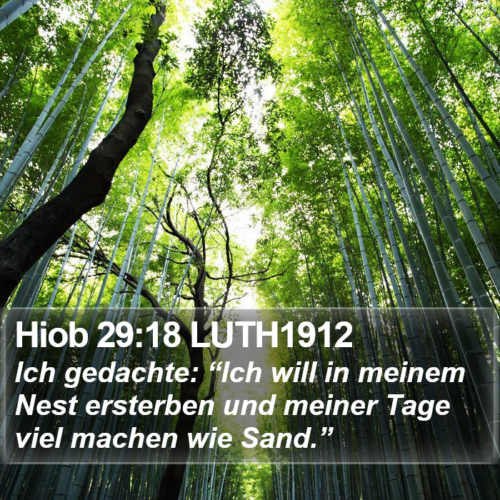 Hiob 29:18 LUTH1912 Bible Study