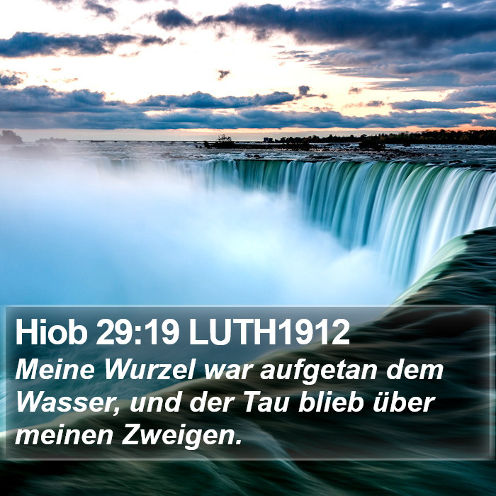Hiob 29:19 LUTH1912 Bible Study
